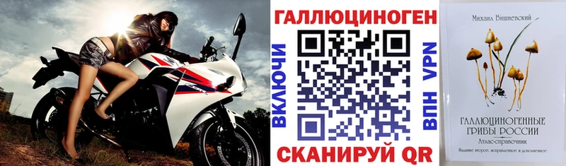 Галлюциногенные грибы Psilocybe  Великий Устюг 