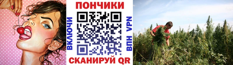Каннабис Ganja  купить наркотик  omg вход  Великий Устюг 